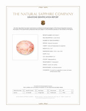 Jewelry Scan Report