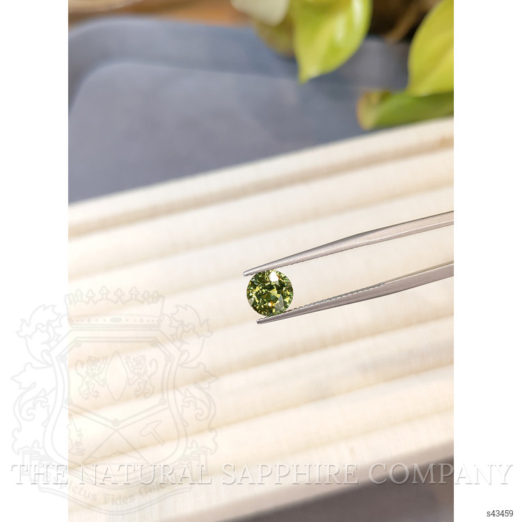 2.09 Ct. Yellowish Green Sapphire from Madagascar