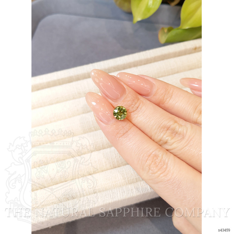 2.09 Ct. Yellowish Green Sapphire from Madagascar