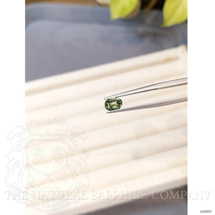 1.09 Ct. Yellowish Green Sapphire from Madagascar