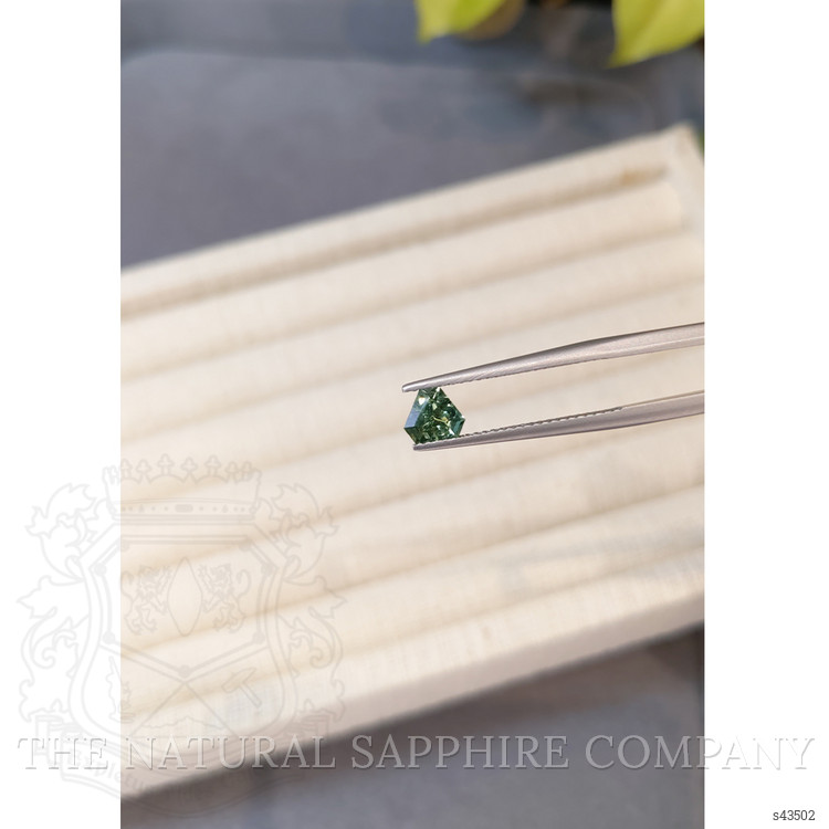 0.86 Ct. Bi Color / Parti Sapphire from Madagascar