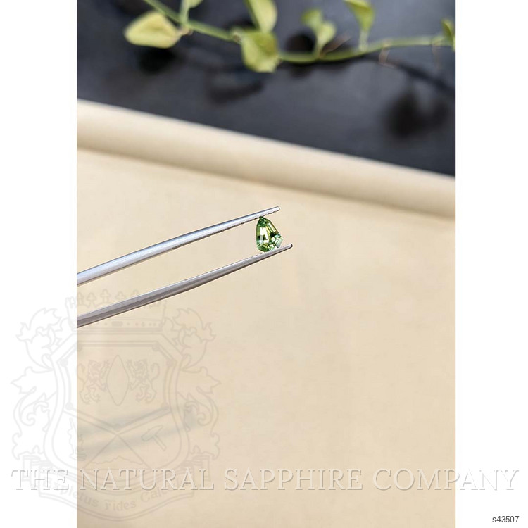 0.69 Ct. Yellowish Green Sapphire from Madagascar