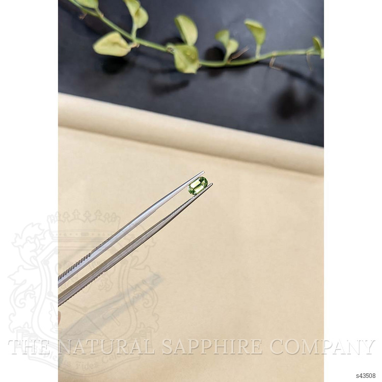 0.99 Ct. Yellowish Green Sapphire from Madagascar