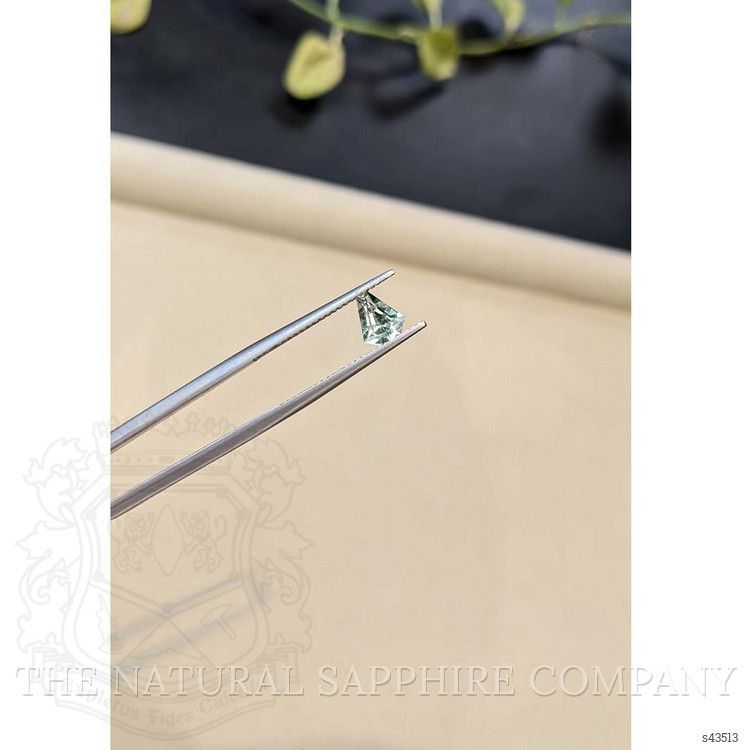 0.92 Ct. Yellowish Green Sapphire from Madagascar