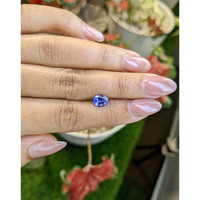 1.34 Ct. Blue Sapphire from Ceylon (Sri Lanka) Life Style