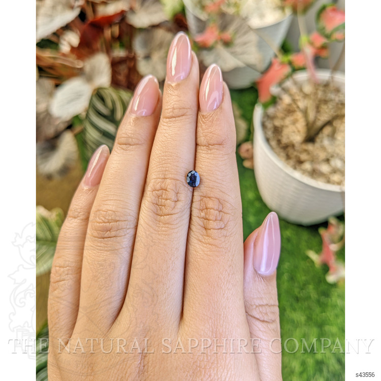 0.53 Ct. Blue Sapphire from Ceylon (Sri Lanka)