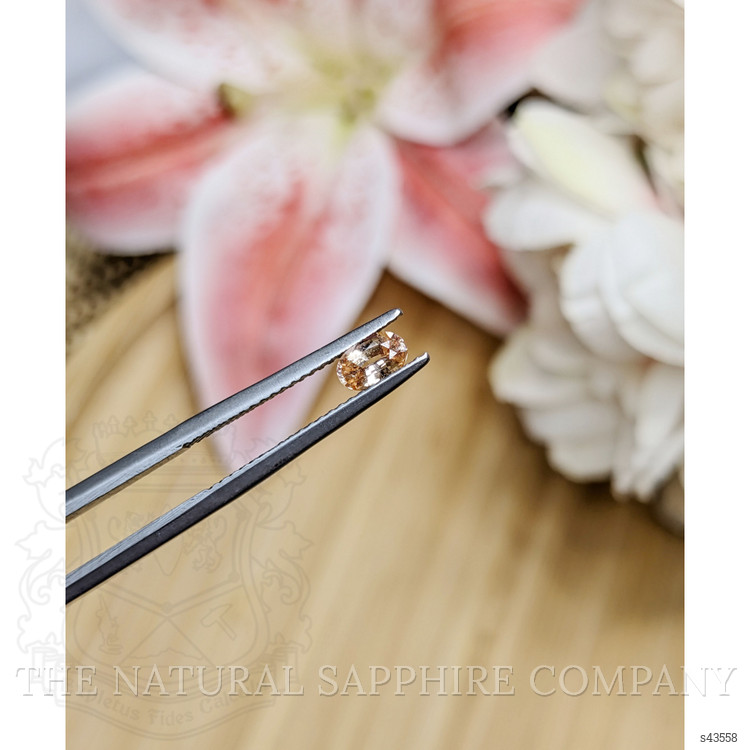 0.43 Ct. Peach Sapphire from Ceylon (Sri Lanka)