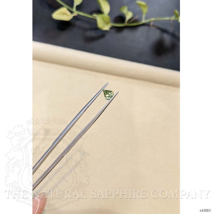 0.88 Ct. Yellowish Green Sapphire from Madagascar