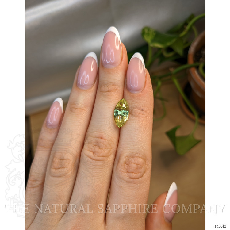 5.40 Ct. Yellowish Green Sapphire from Ceylon (Sri Lanka)