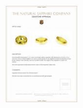 1.47 Ct. Yellow Sapphire from Ceylon (Sri Lanka) Appraisal