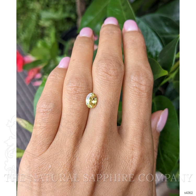 1.47 Ct. Yellow Sapphire from Ceylon (Sri Lanka)