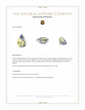 7.65 Ct. Bi Color / Parti Sapphire from Ceylon (Sri Lanka) Appraisal