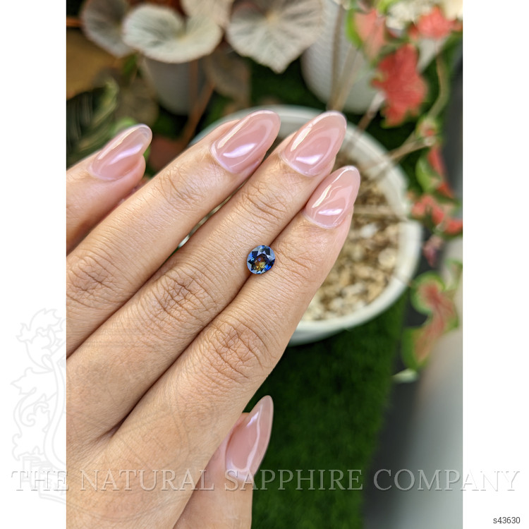 1.06 Ct. Bi Color / Parti Sapphire from Ceylon (Sri Lanka)