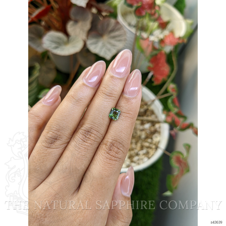 1.08 Ct. Yellowish Green Sapphire from Madagascar