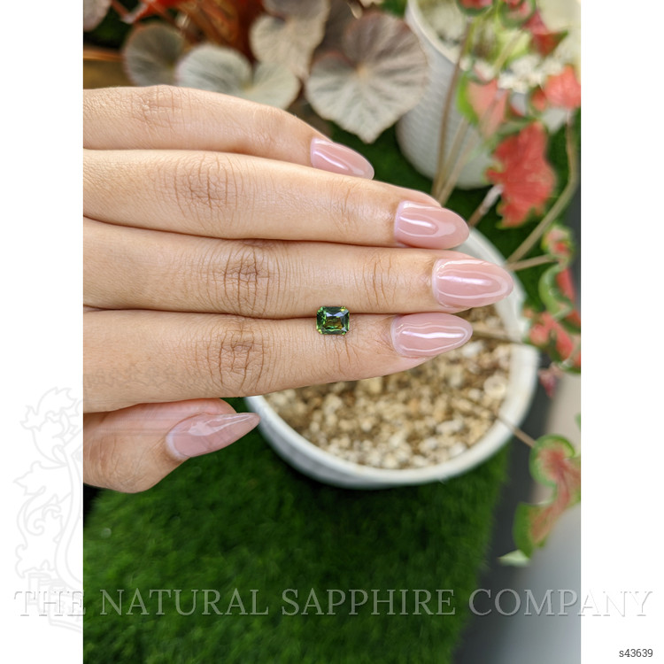 1.08 Ct. Yellowish Green Sapphire from Madagascar