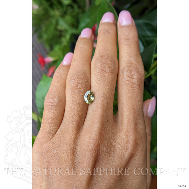 1.58 Ct. Yellowish Green Sapphire from Ceylon (Sri Lanka)