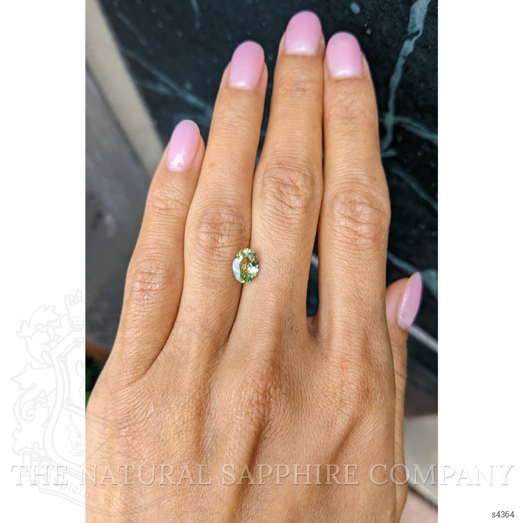 1.58 Ct. Yellowish Green Sapphire from Ceylon (Sri Lanka)