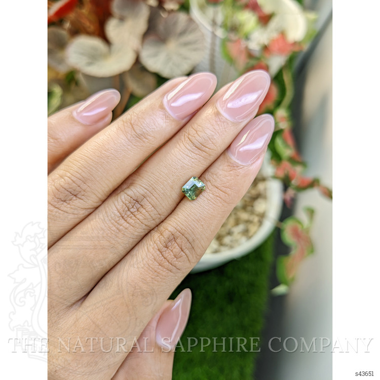 1.09 Ct. Yellowish Green Sapphire from Madagascar
