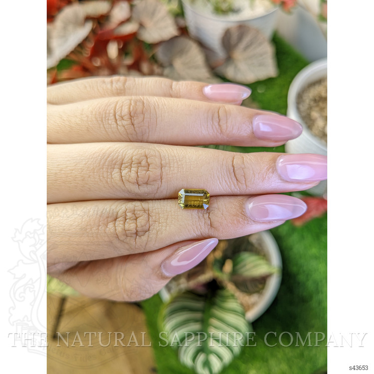 1.87 Ct. Greenish Yellow Sapphire from Ceylon (Sri Lanka)
