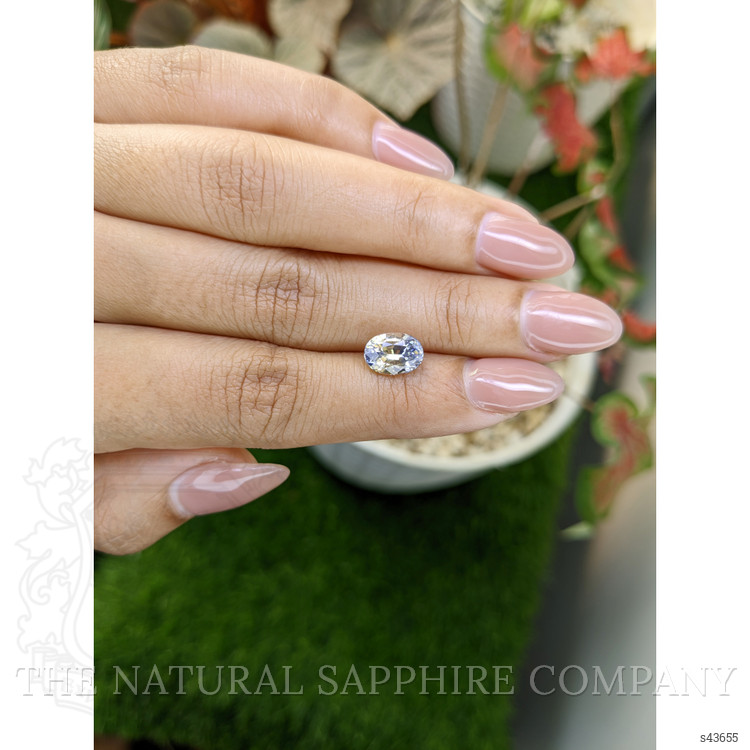 2.50 Ct. Bi Color / Parti Sapphire from Ceylon (Sri Lanka)