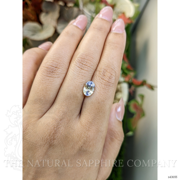 2.50 Ct. Bi Color / Parti Sapphire from Ceylon (Sri Lanka)