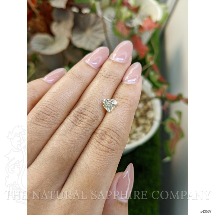 1.50 Ct. Yellow Sapphire from Ceylon (Sri Lanka)