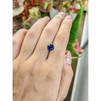 2.66 Ct. Blue Sapphire from Ceylon (Sri Lanka) Life Style