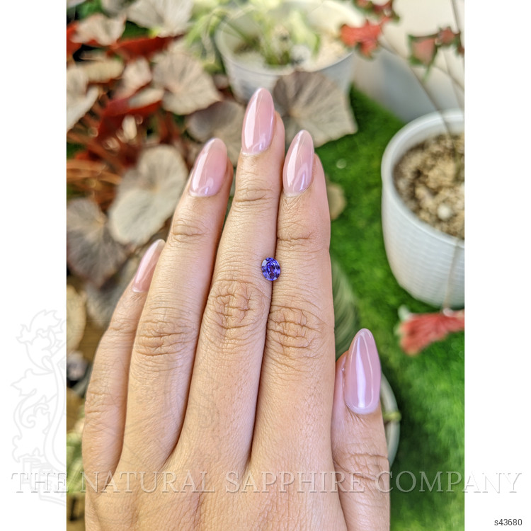 0.51 Ct. Violet Sapphire from Ceylon (Sri Lanka)