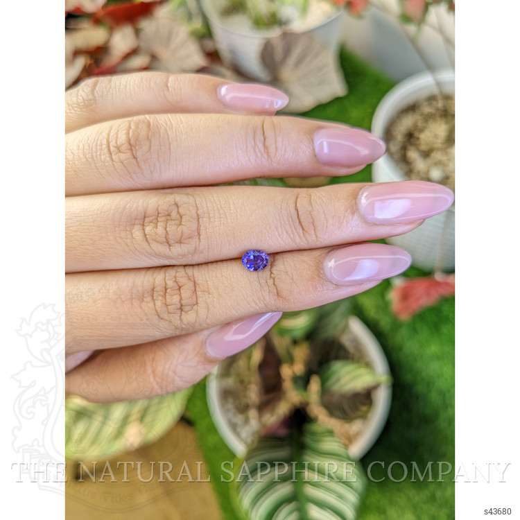 0.51 Ct. Violet Sapphire from Ceylon (Sri Lanka)
