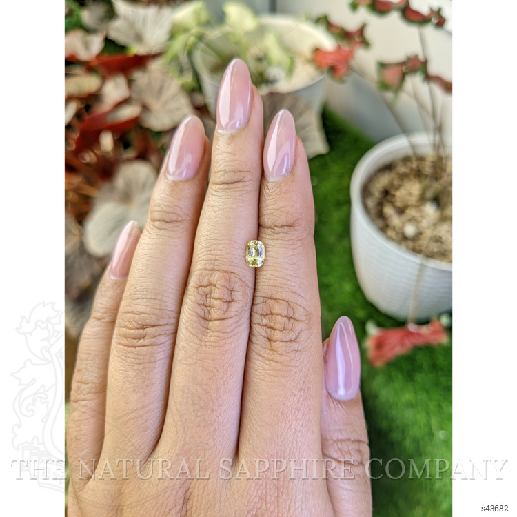 0.61 Ct. Yellow Sapphire from Ceylon (Sri Lanka)