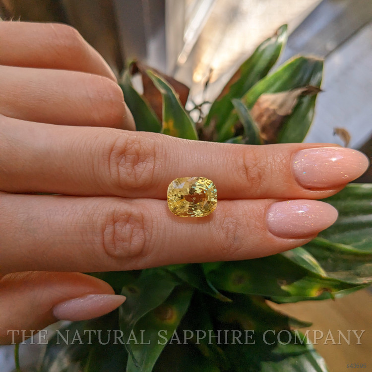 9.36 Ct. Yellow Sapphire from Ceylon (Sri Lanka)