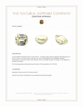 8.25 Ct. Yellow Sapphire from Ceylon (Sri Lanka) Appraisal