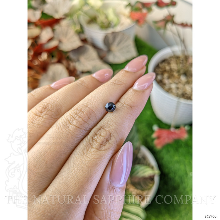 1.13 Ct. Blue Sapphire from Ceylon (Sri Lanka)