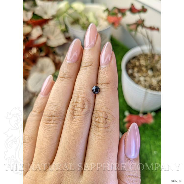 1.13 Ct. Blue Sapphire from Ceylon (Sri Lanka)