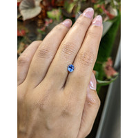 0.77 Ct. Blue Sapphire from Ceylon (Sri Lanka) Life Style
