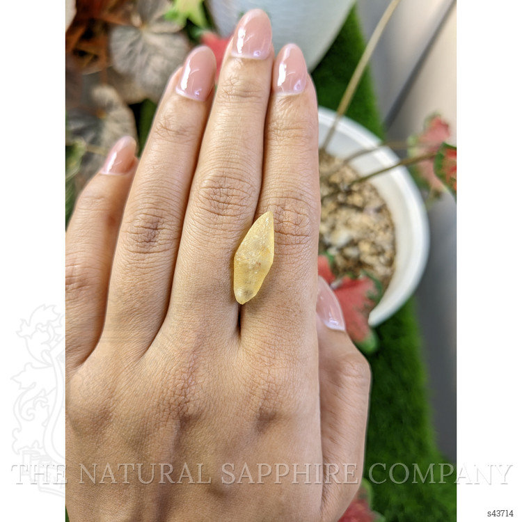 9.75 Ct. Yellow Sapphire from Ceylon (Sri Lanka)