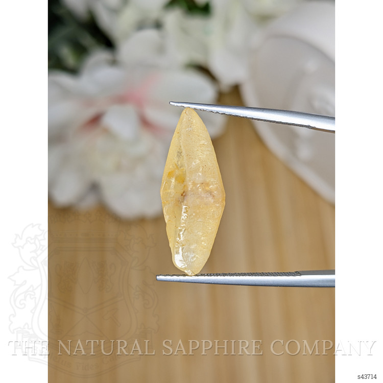 9.75 Ct. Yellow Sapphire from Ceylon (Sri Lanka)