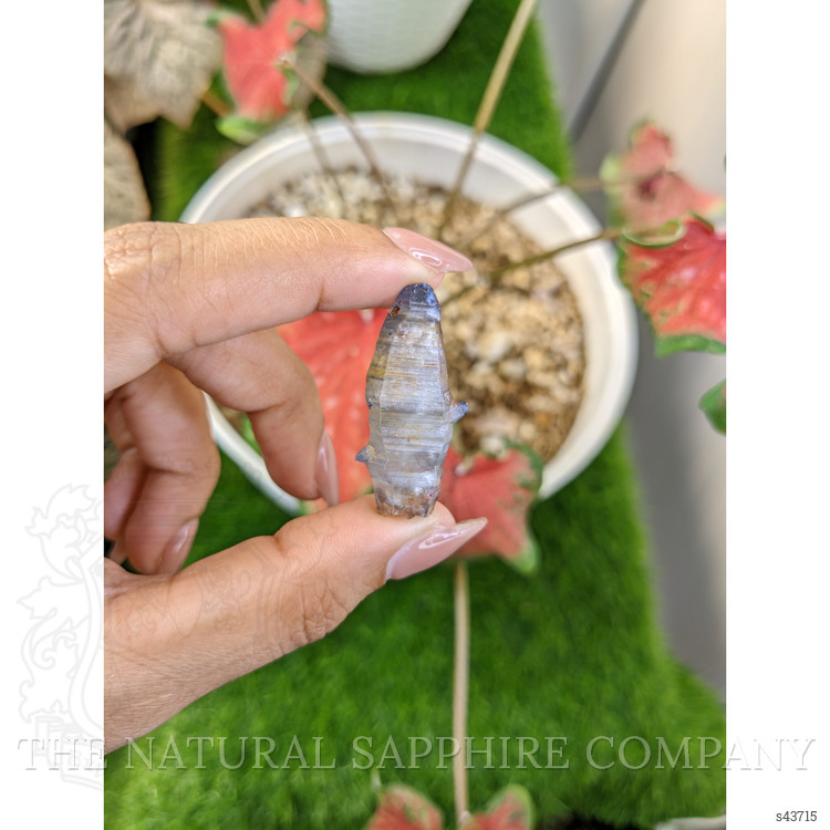 41.22 Ct. Blue Sapphire from Ceylon (Sri Lanka)