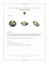 1.03 Ct. Yellowish Green Sapphire from Tanzania Appraisal