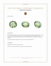 1.10 Ct. Yellowish Green Sapphire from Tanzania Appraisal