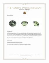 1.03 Ct. Bluish Green Sapphire from Tanzania Appraisal
