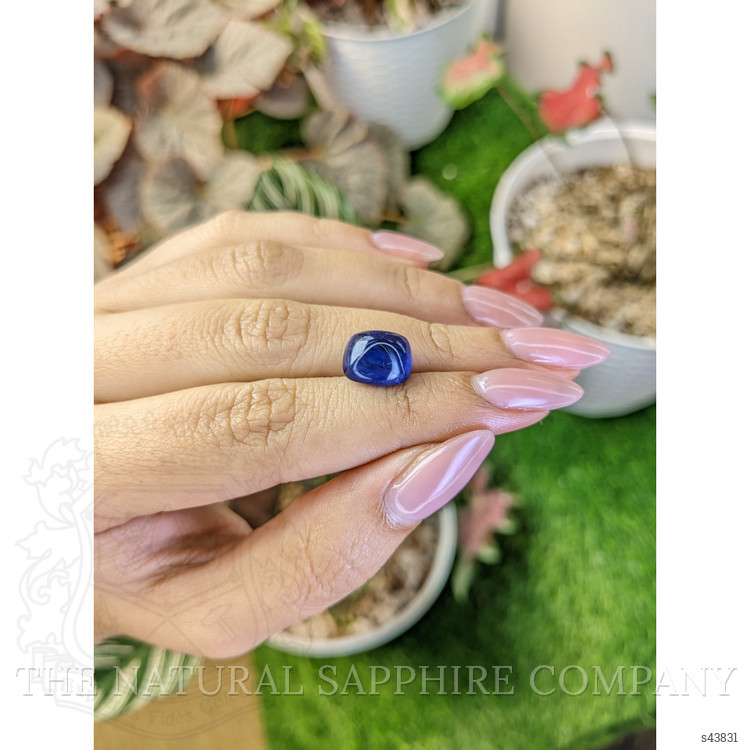 8.39 Ct. Blue Cabochon Sapphire from Ceylon (Sri Lanka)