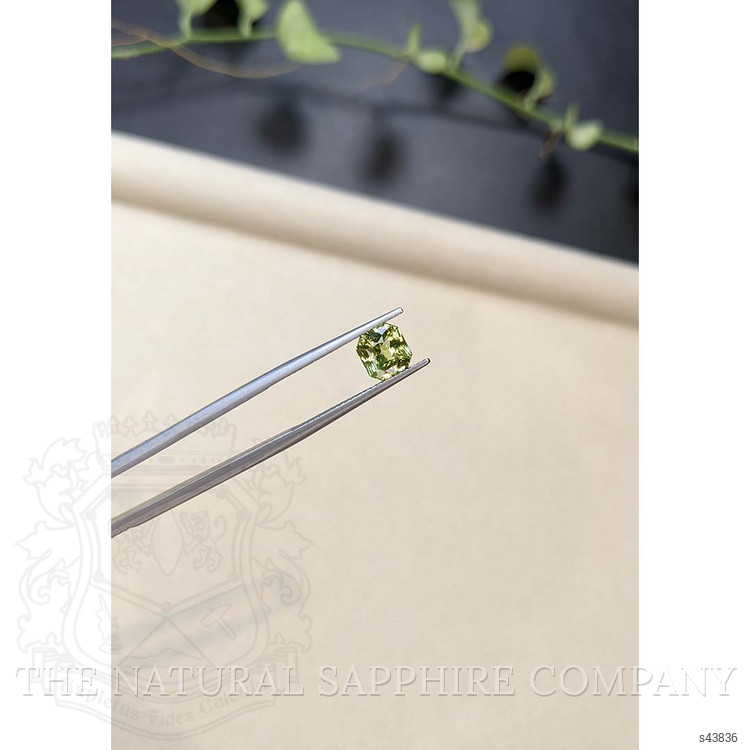 1.99 Ct. Yellowish Green Sapphire from Madagascar