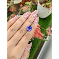 6.88 Ct. Violet Sapphire from Ceylon (Sri Lanka) Life Style