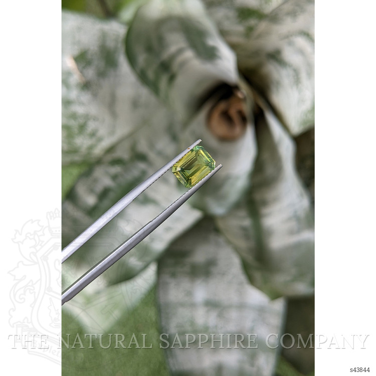3.01 Ct. Yellowish Green Sapphire from Madagascar