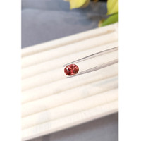 2.53 Ct. Padparadscha Sapphire from Ceylon (Sri Lanka) Life Style