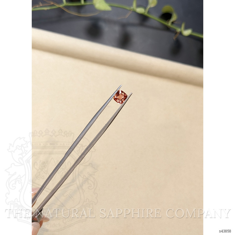 1.25 Ct. Padparadscha Sapphire from Ceylon (Sri Lanka)