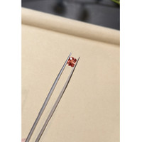 1.11 Ct. Padparadscha Sapphire from Ceylon (Sri Lanka) Life Style