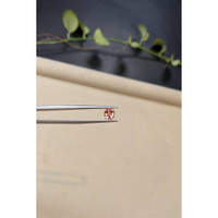 0.98 Ct. Padparadscha Sapphire from Ceylon (Sri Lanka) Life Style
