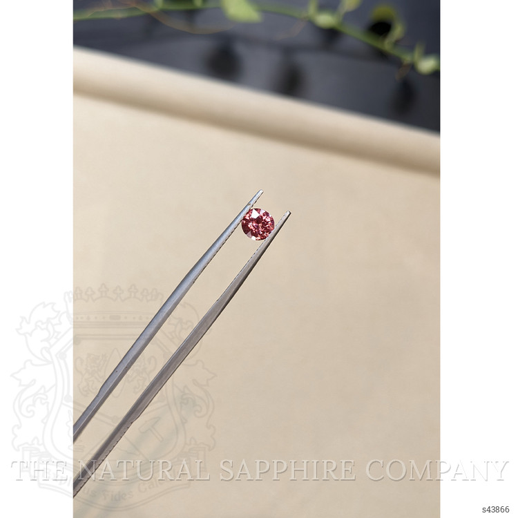 0.93 Ct. Pink Sapphire from Ceylon (Sri Lanka)
